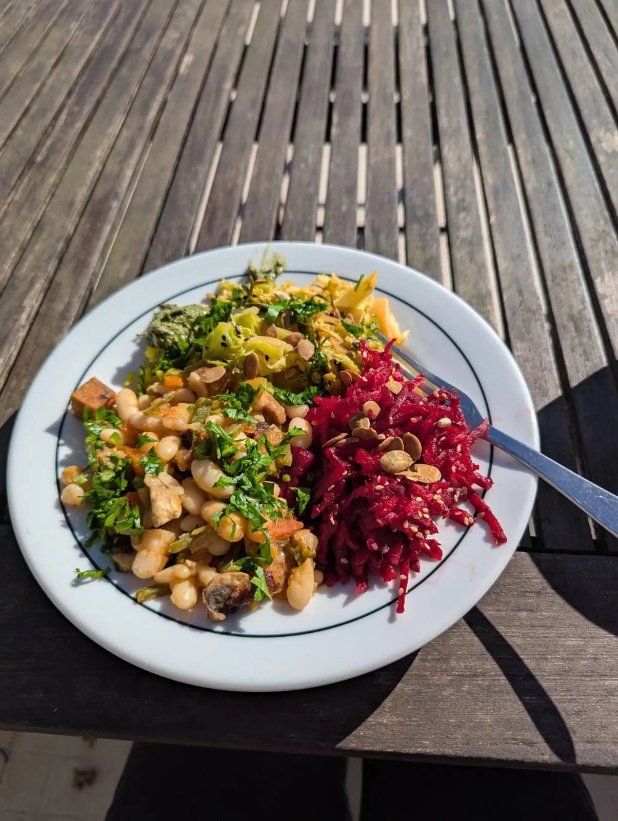 Refeição vegan servida no Ashram